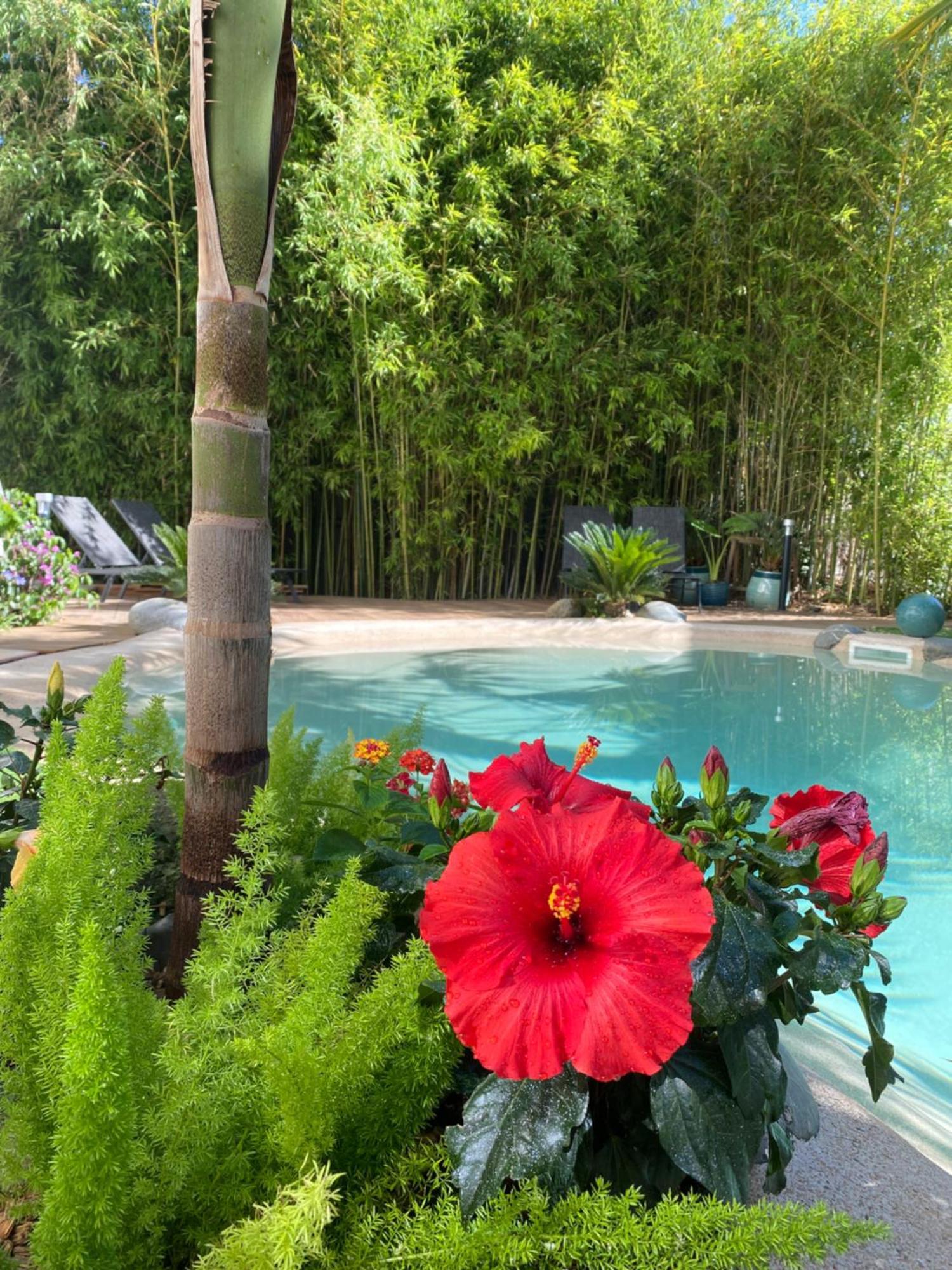 Апартаменти Appt Ambiance Chalet 2Ch Piscine Lagon Тарб Екстер'єр фото